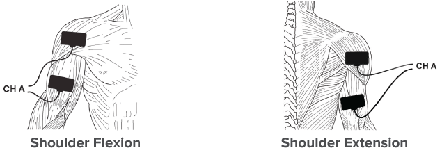Submaximal Isometrics 2025